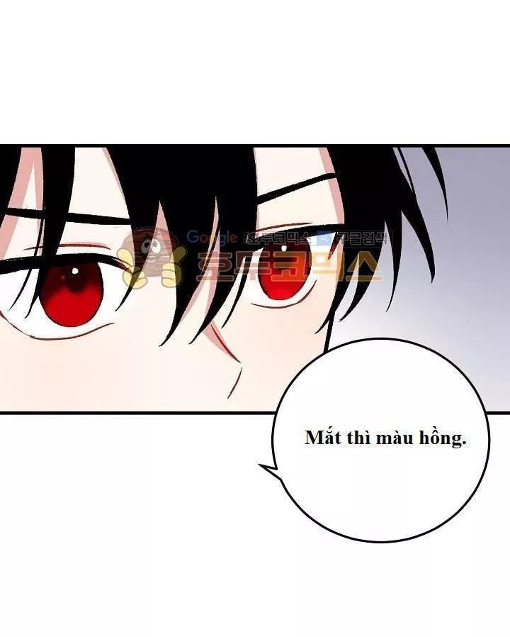 Tôi Là Tiểu Thư Của Gia Đình Này: Chapter 6