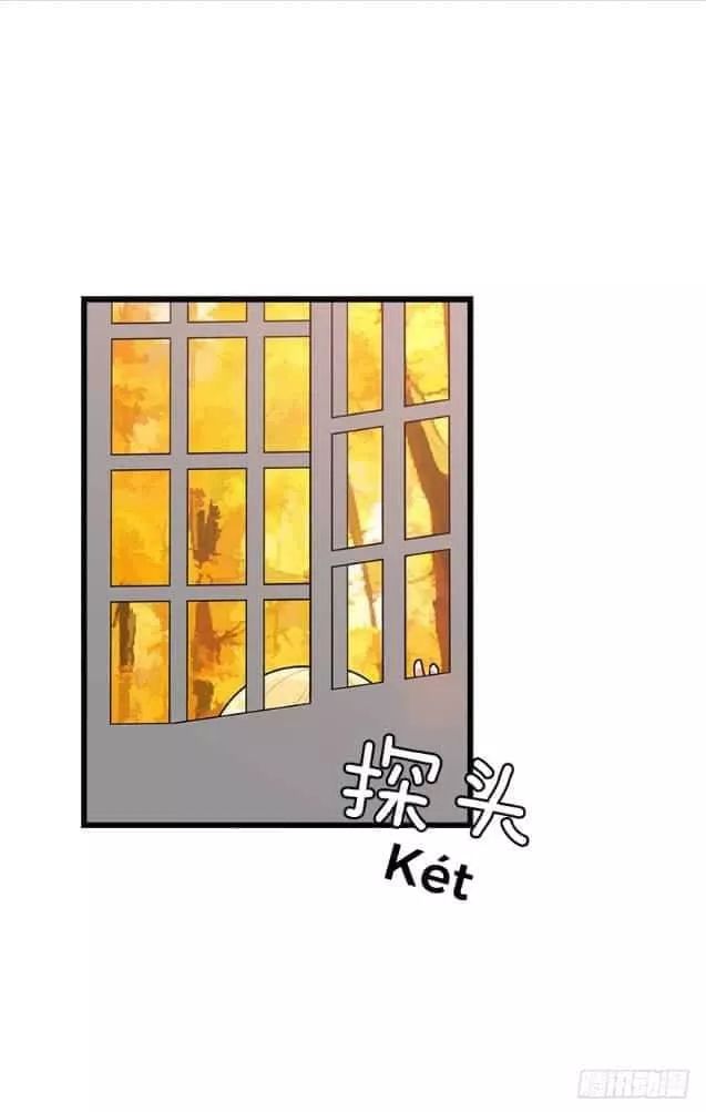 Tôi Là Tiểu Thư Của Gia Đình Này: Chapter 62