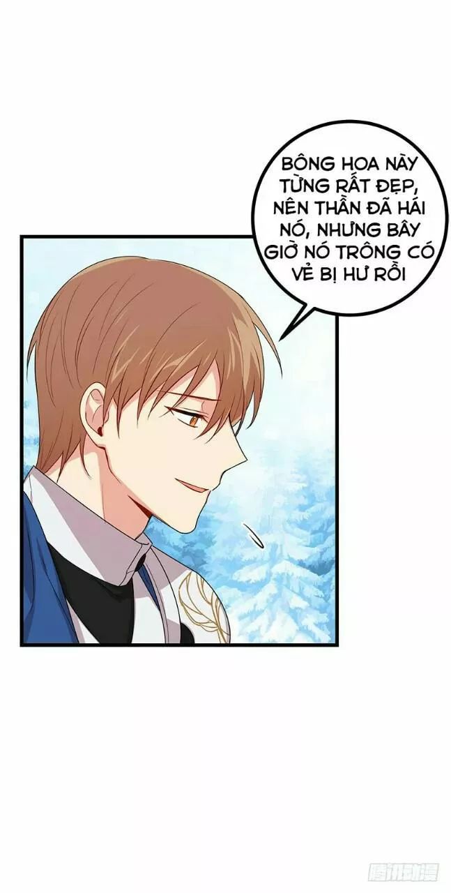 Tôi Là Tiểu Thư Của Gia Đình Này: Chapter 70