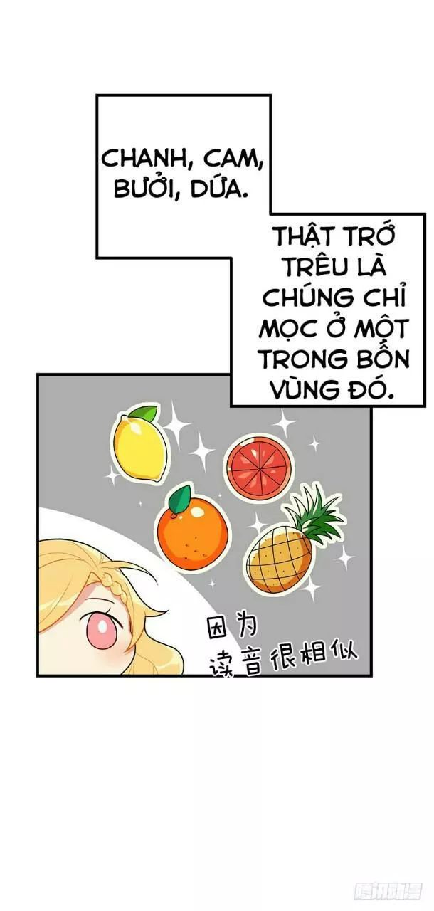 Tôi Là Tiểu Thư Của Gia Đình Này: Chapter 70