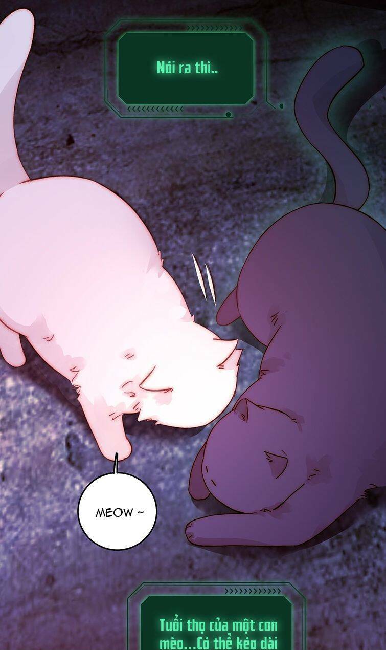Tôi Phải Làm Một Kẻ Đại Xấu Xa: Chapter 90