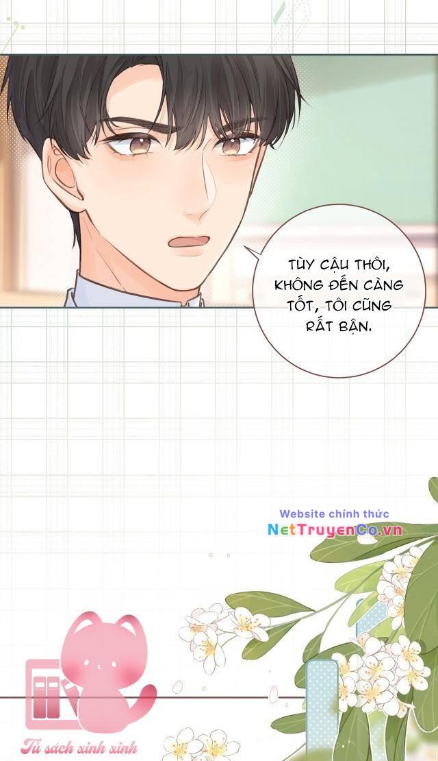 Tổng Tài Đuổi Vợ Lại Khóc Lóc Cầu Xin Vợ Quay Lại: Chapter 11