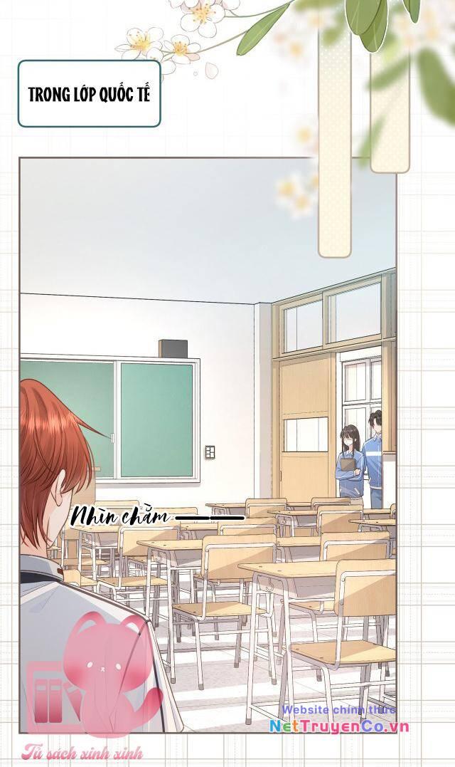 Tổng Tài Đuổi Vợ Lại Khóc Lóc Cầu Xin Vợ Quay Lại: Chapter 11