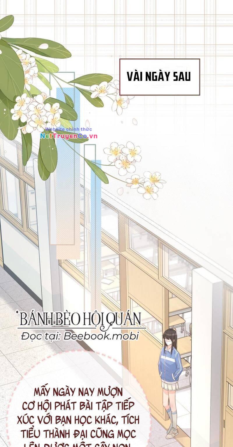 Tổng Tài Đuổi Vợ Lại Khóc Lóc Cầu Xin Vợ Quay Lại: Chapter 14