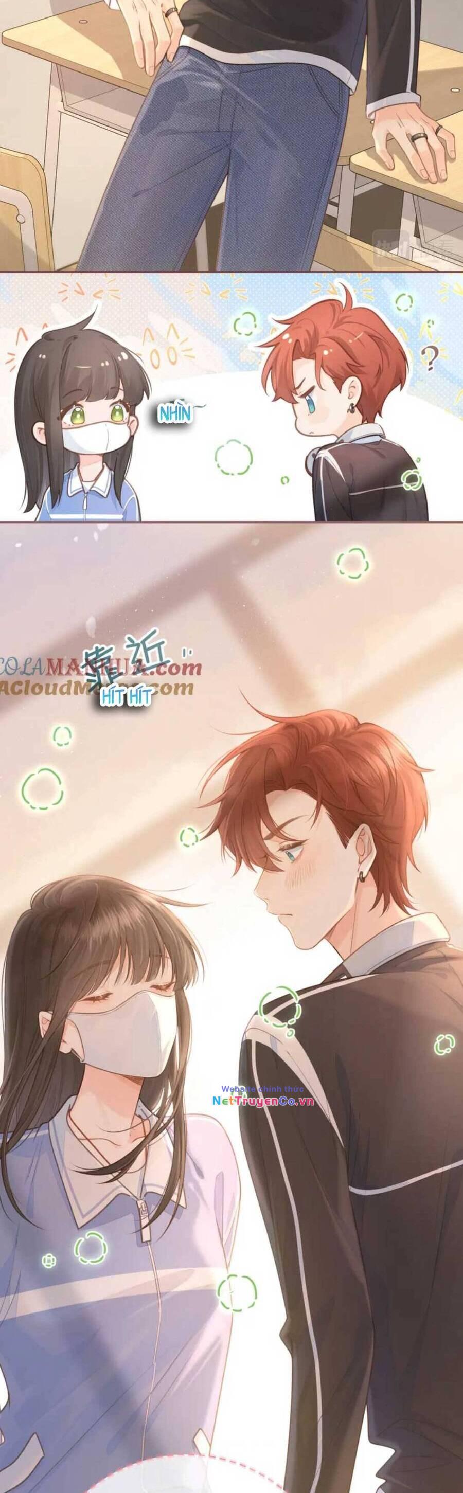 Tổng Tài Đuổi Vợ Lại Khóc Lóc Cầu Xin Vợ Quay Lại: Chapter 6