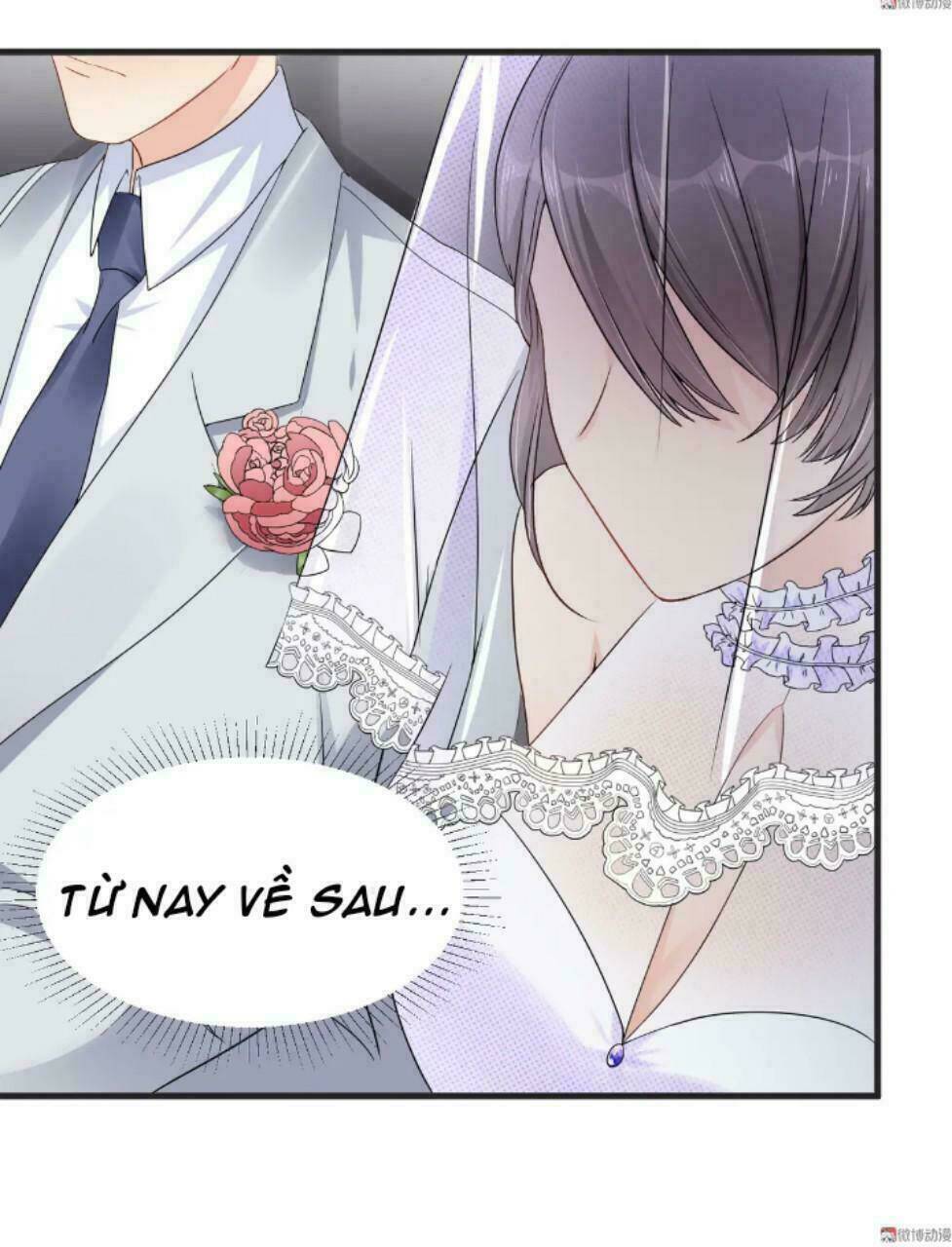 Tổng Tài Truy Thê: Phu Nhân Đừng Hòng Trốn: Chapter 5