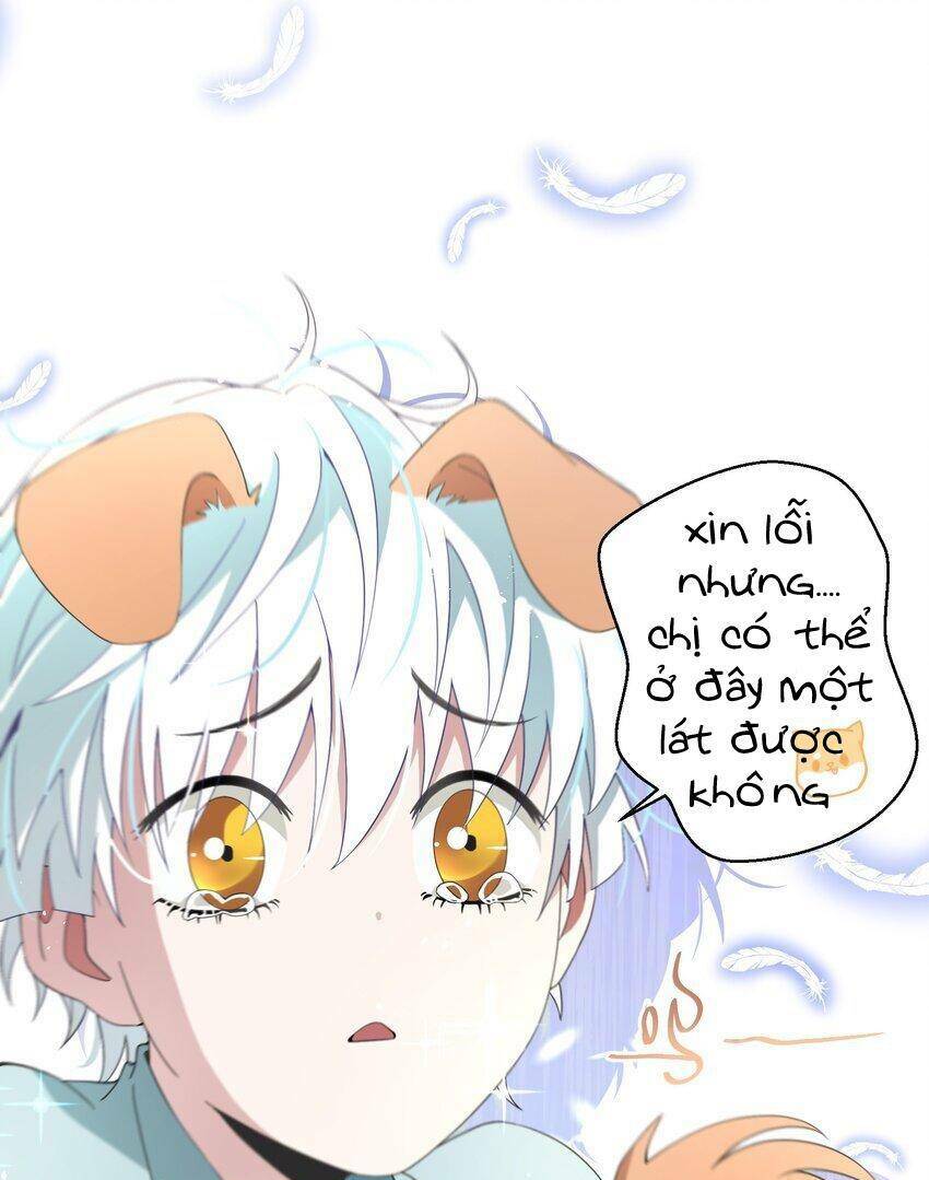 Khế Hôn: Chapter 4