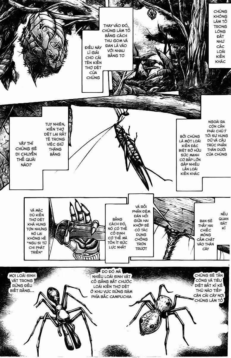 Trận Chiến Trên Hành Tinh Đỏ: Chapter 208