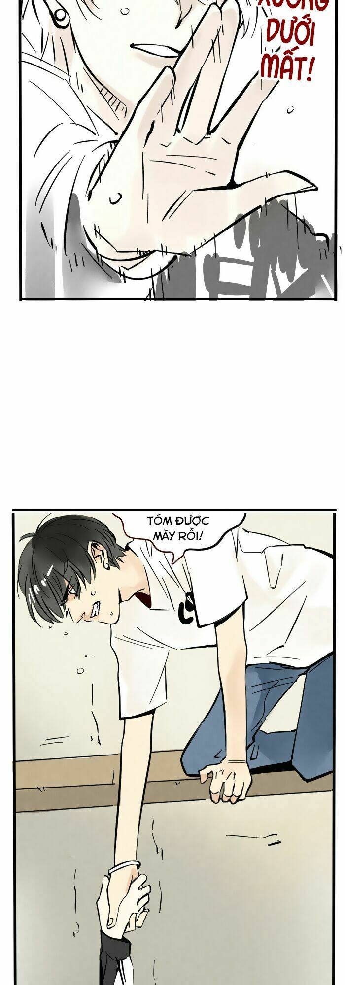 Trang Nhất Toàn Là Hắn: Chapter 63