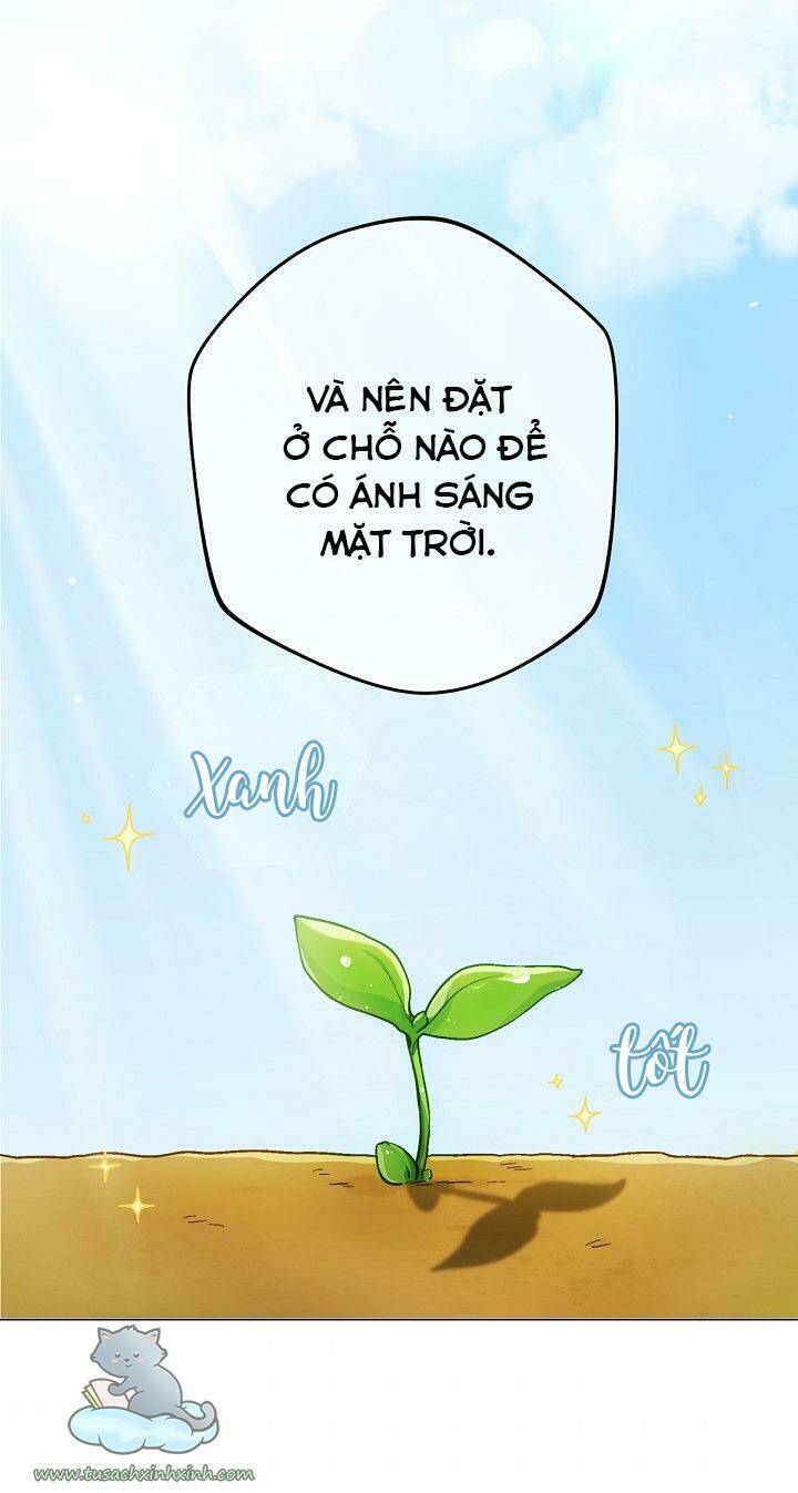 Trang Trại Hạt Dẻ Gần Cung Điện Hoàng Gia: Chapter 1