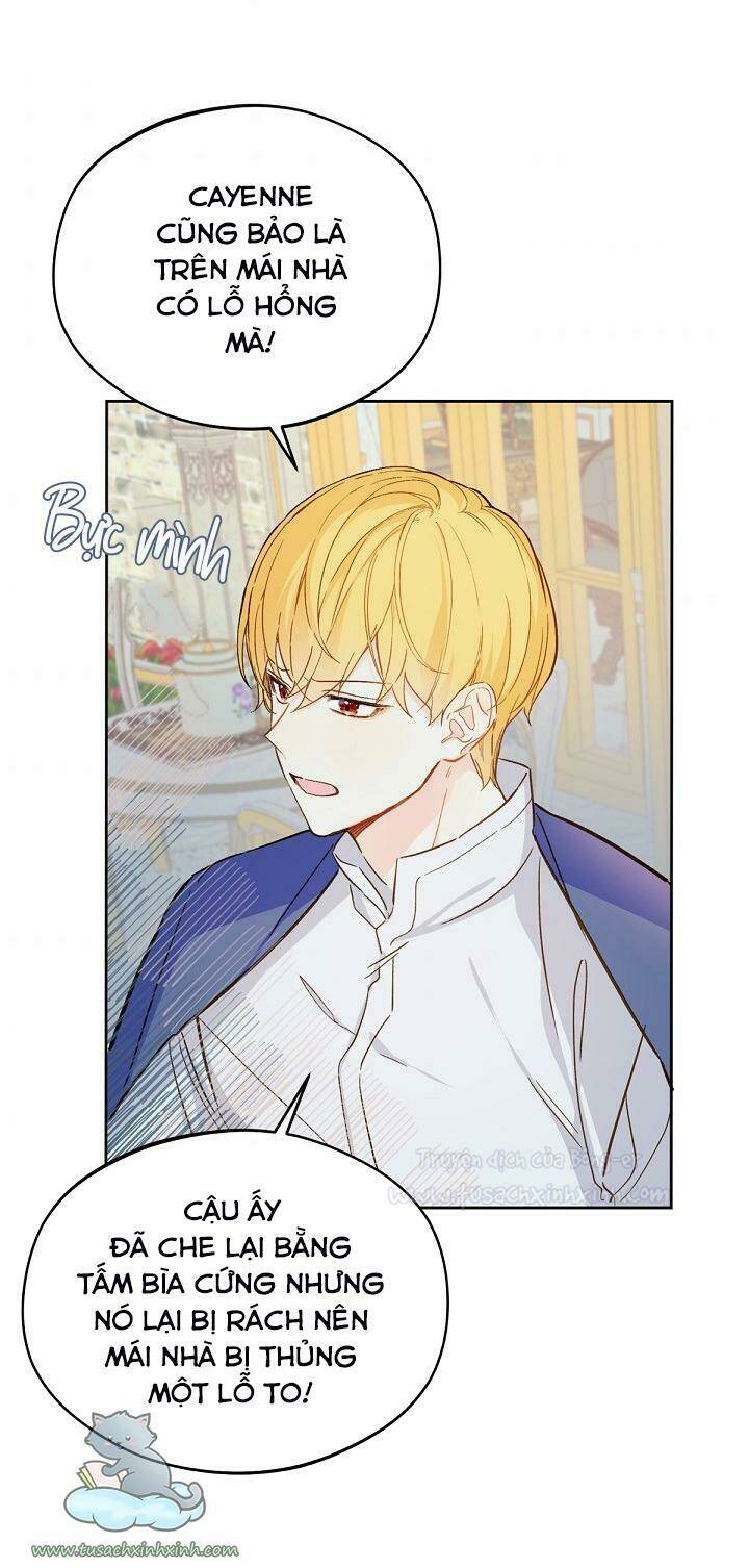 Trang Trại Hạt Dẻ Gần Cung Điện Hoàng Gia: Chapter 14