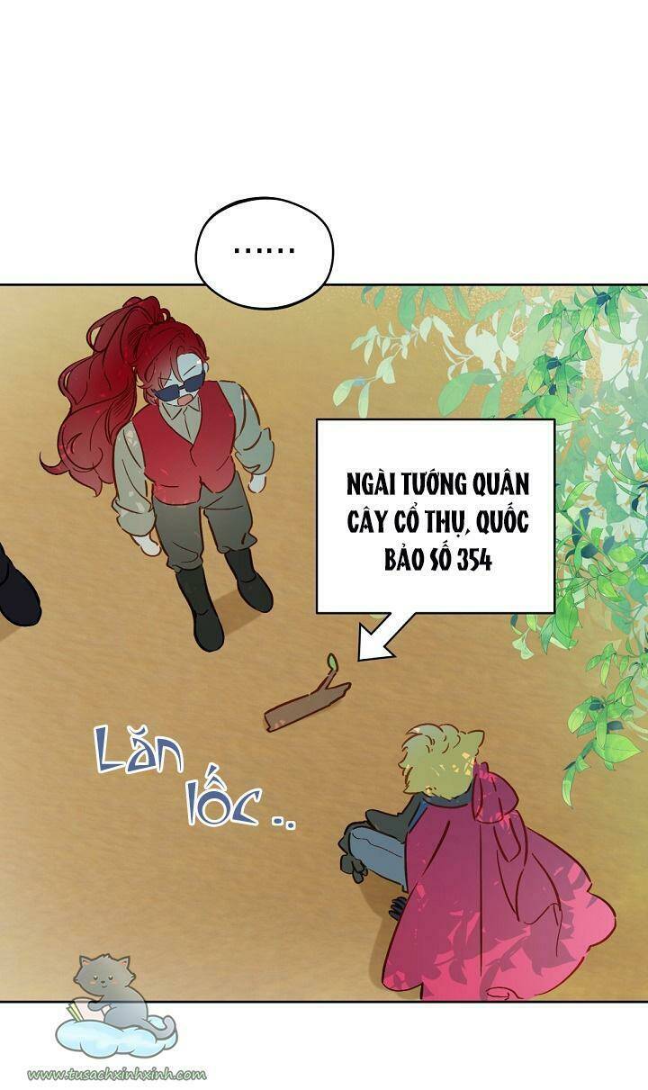 Trang Trại Hạt Dẻ Gần Cung Điện Hoàng Gia: Chapter 15