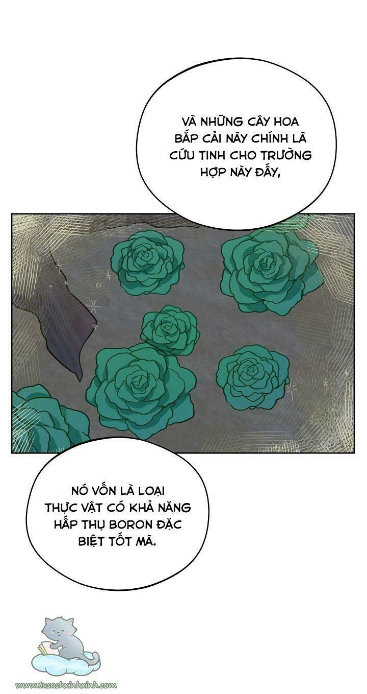 Trang Trại Hạt Dẻ Gần Cung Điện Hoàng Gia: Chapter 17