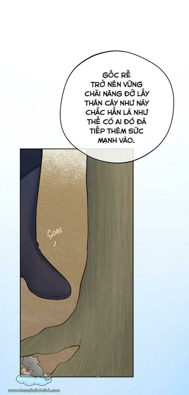 Trang Trại Hạt Dẻ Gần Cung Điện Hoàng Gia: Chapter 17