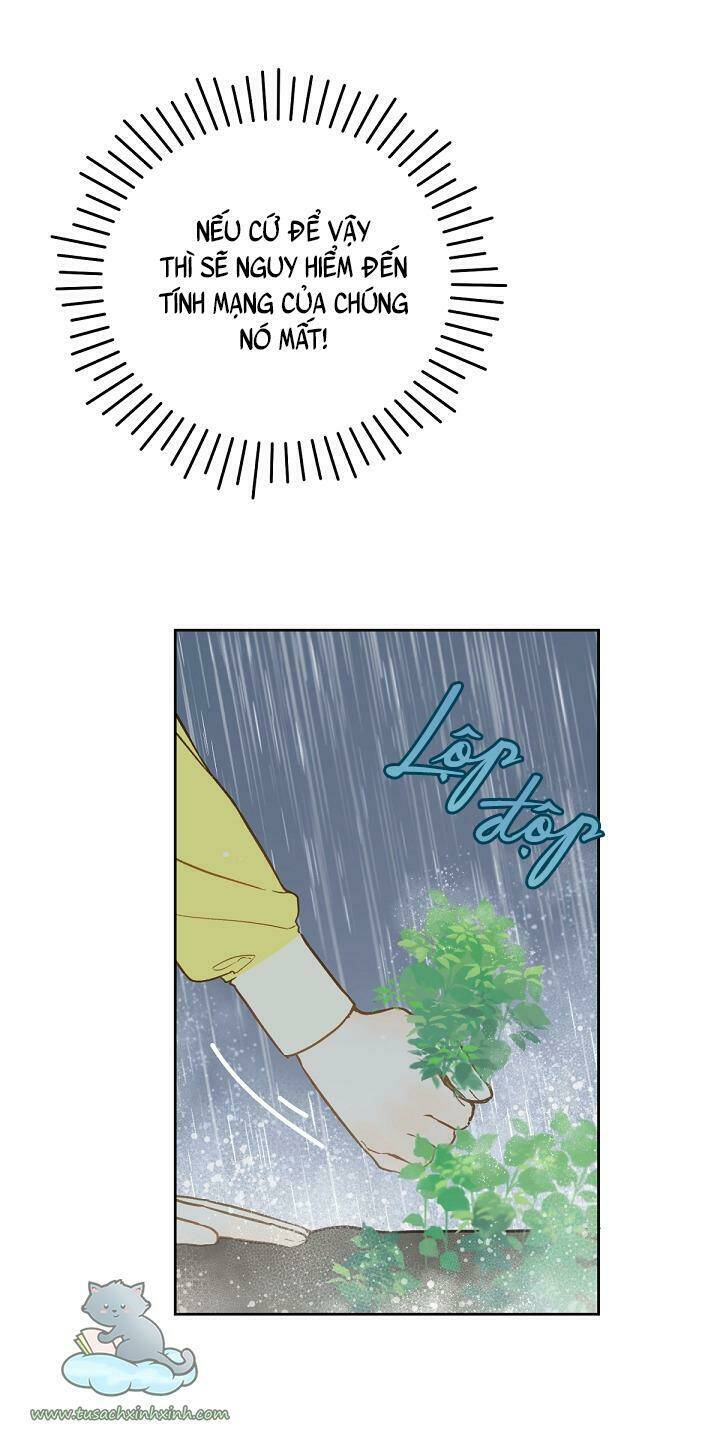 Trang Trại Hạt Dẻ Gần Cung Điện Hoàng Gia: Chapter 18