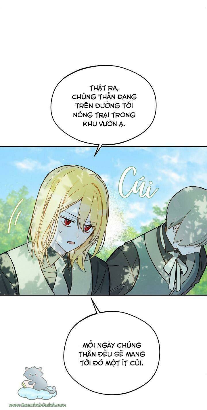 Trang Trại Hạt Dẻ Gần Cung Điện Hoàng Gia: Chapter 24