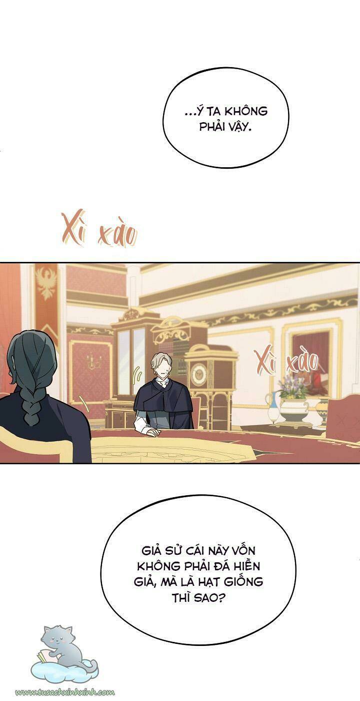 Trang Trại Hạt Dẻ Gần Cung Điện Hoàng Gia: Chapter 24