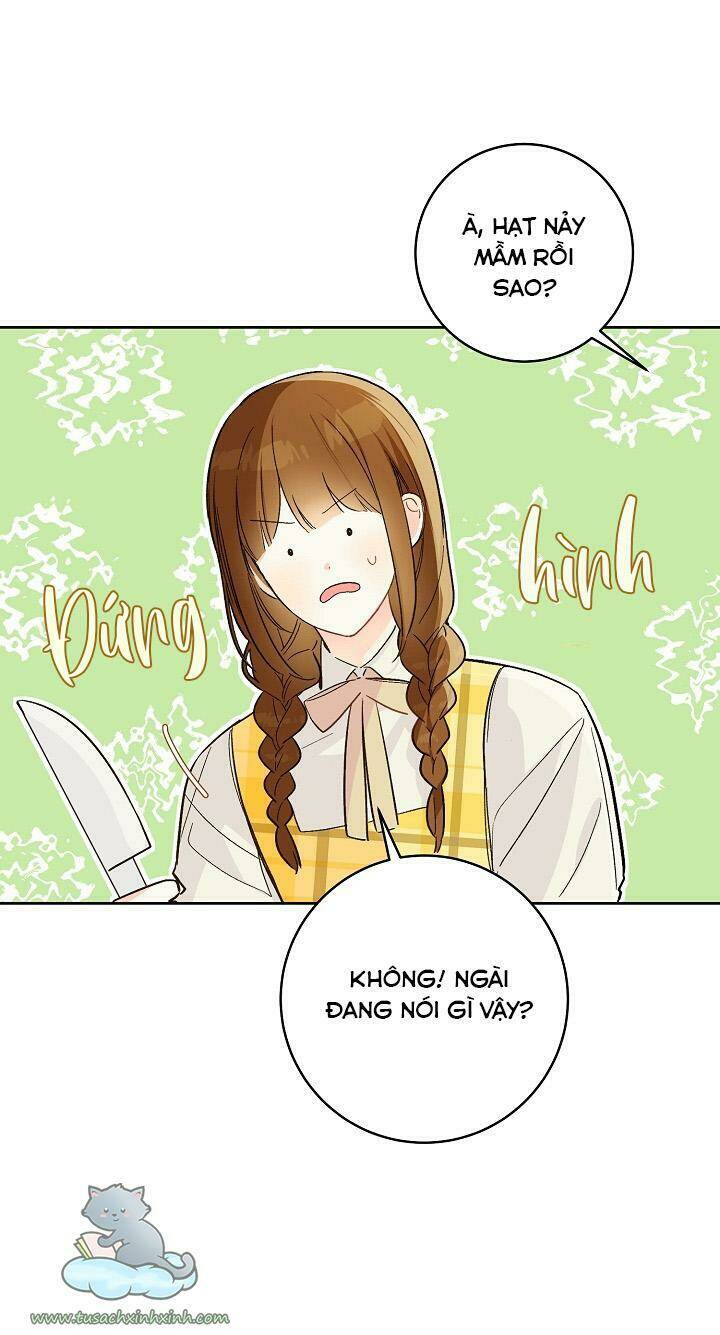 Trang Trại Hạt Dẻ Gần Cung Điện Hoàng Gia: Chapter 25