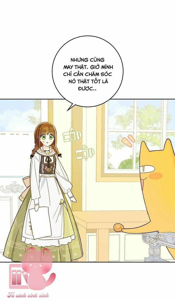 Trang Trại Hạt Dẻ Gần Cung Điện Hoàng Gia: Chapter 28