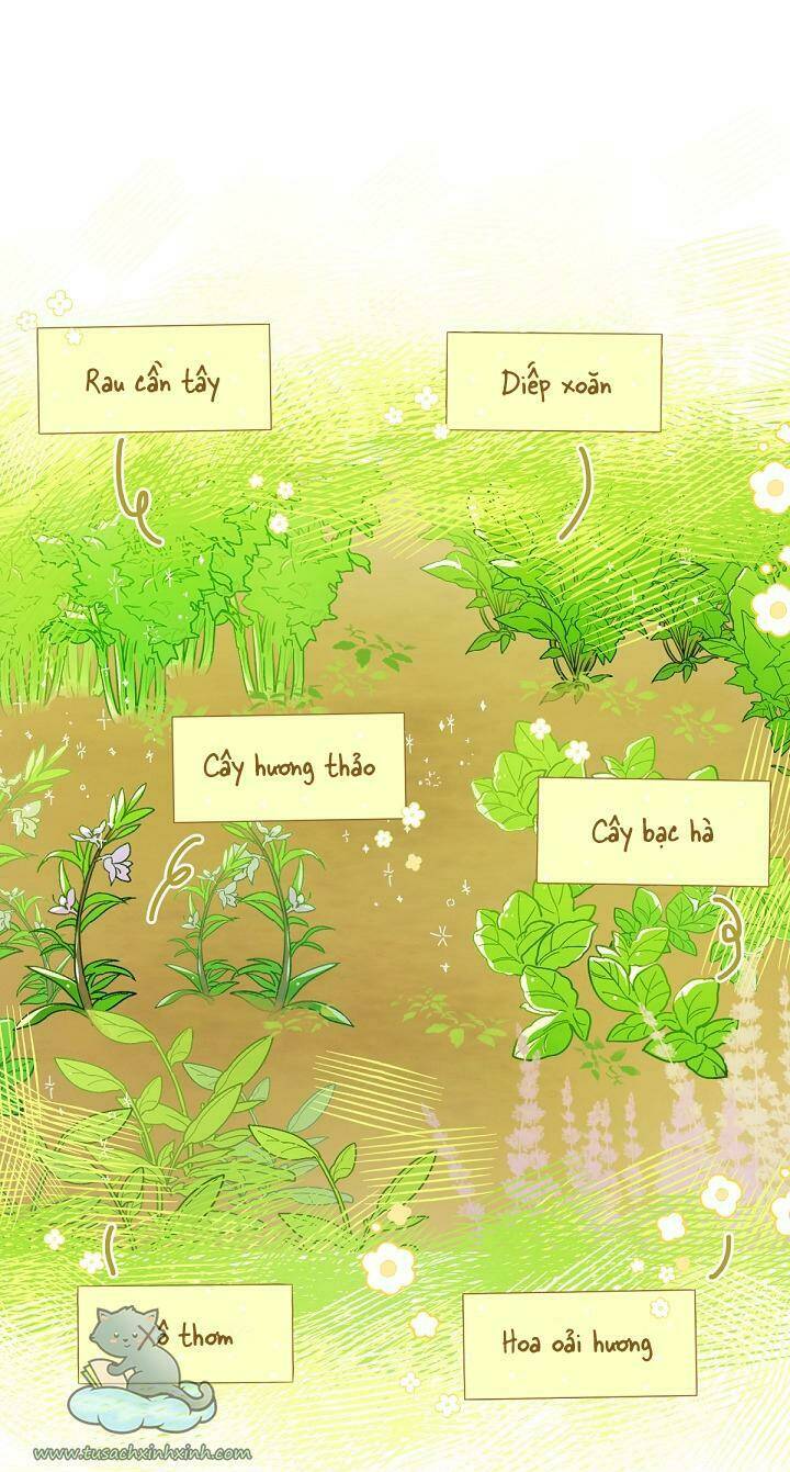 Trang Trại Hạt Dẻ Gần Cung Điện Hoàng Gia: Chapter 4