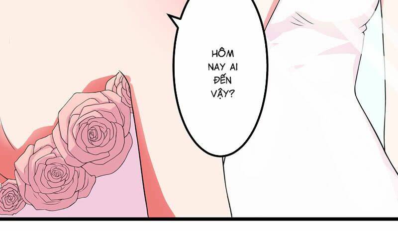 Trên Gối Của Chủ Tịch Ác Ma: Chapter 12