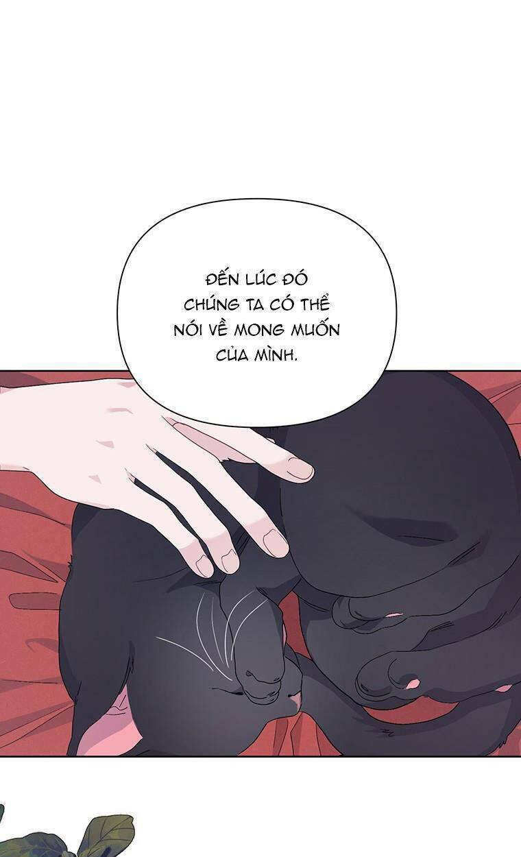 Trở Thành Con Dâu Của Kẻ Phản Diện Vì Thời Gian Có Hạn: Chapter 38