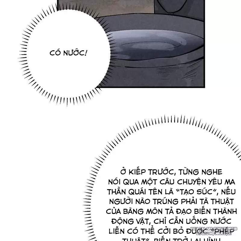 Trở Thành Tiên Bắt Đầu Từ Việc Xuyên Không Thành... Heo: Chapter 1