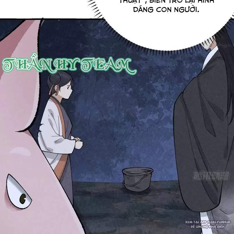 Trở Thành Tiên Bắt Đầu Từ Việc Xuyên Không Thành... Heo: Chapter 1