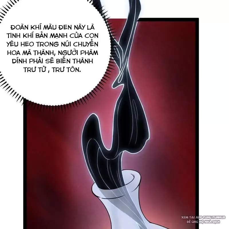 Trở Thành Tiên Bắt Đầu Từ Việc Xuyên Không Thành... Heo: Chapter 2
