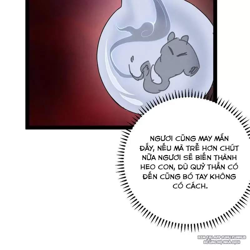 Trở Thành Tiên Bắt Đầu Từ Việc Xuyên Không Thành... Heo: Chapter 2
