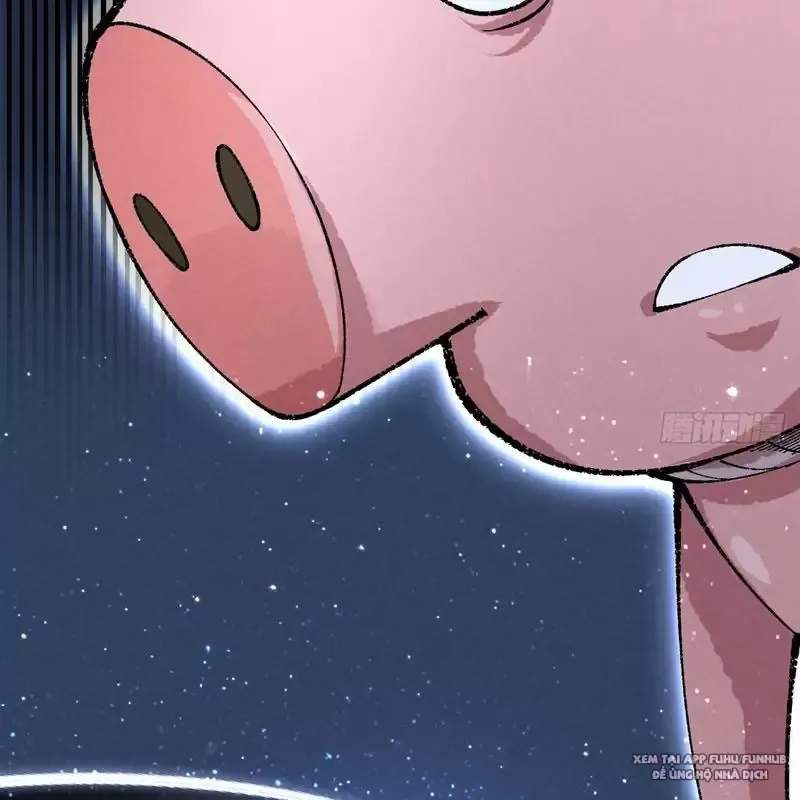 Trở Thành Tiên Bắt Đầu Từ Việc Xuyên Không Thành... Heo: Chapter 2