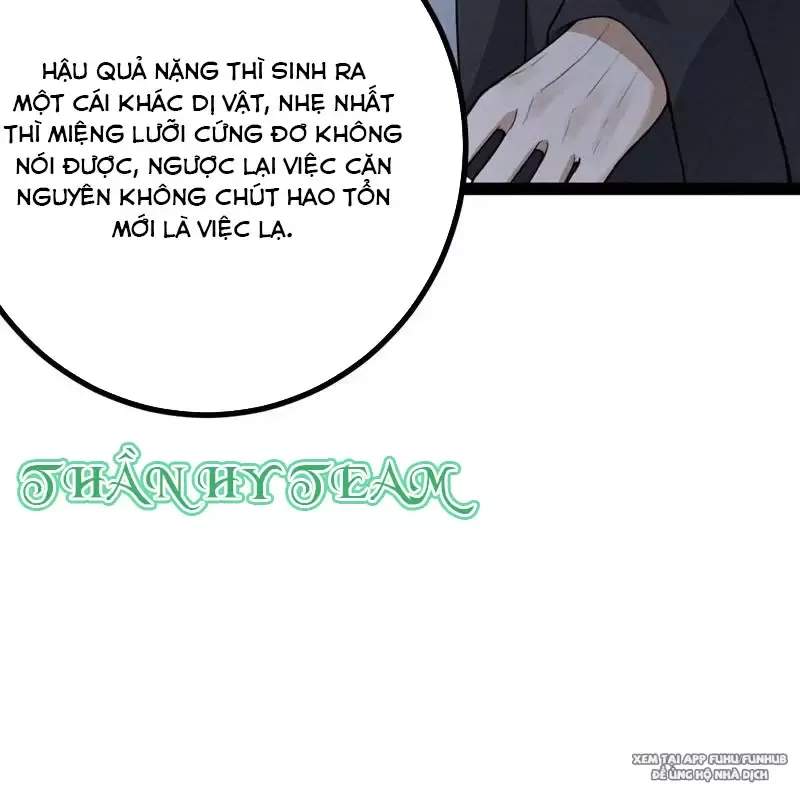 Trở Thành Tiên Bắt Đầu Từ Việc Xuyên Không Thành... Heo: Chapter 2