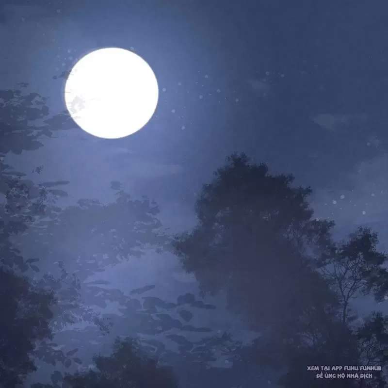 Trở Thành Tiên Bắt Đầu Từ Việc Xuyên Không Thành... Heo: Chapter 2
