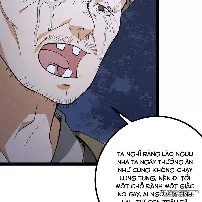 Trở Thành Tiên Bắt Đầu Từ Việc Xuyên Không Thành... Heo: Chapter 3