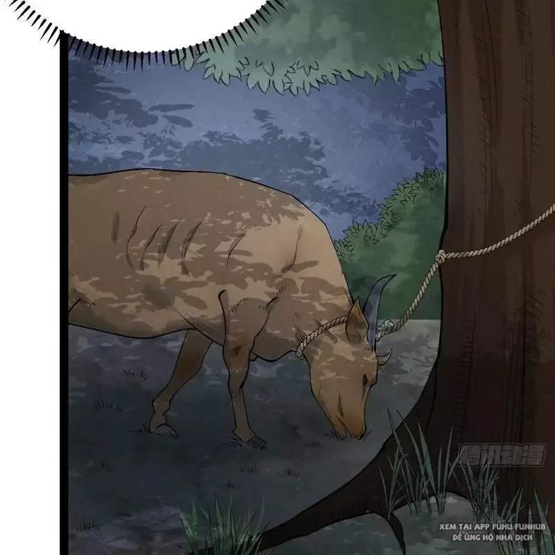 Trở Thành Tiên Bắt Đầu Từ Việc Xuyên Không Thành... Heo: Chapter 3