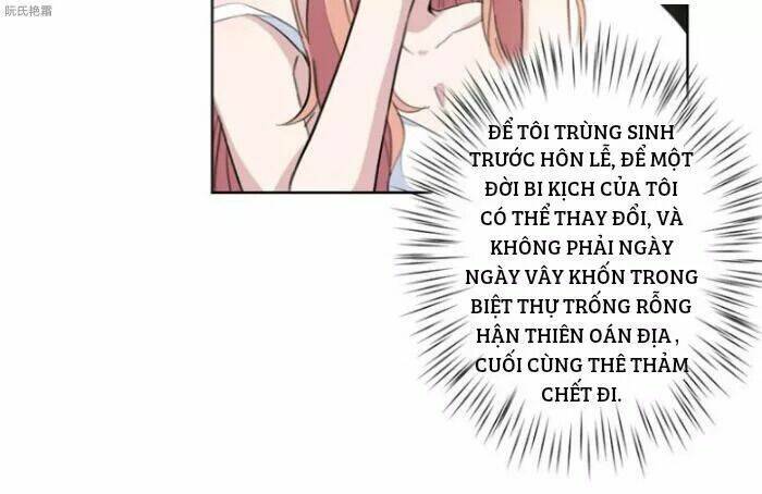 Trọng Sinh Noãn Hôn Khinh Sủng Thê: Chapter 1