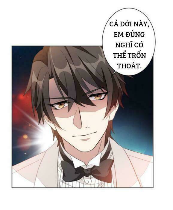 Trọng Sinh Noãn Hôn Khinh Sủng Thê: Chapter 1