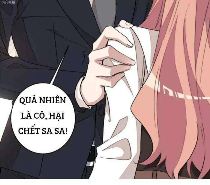 Trọng Sinh Noãn Hôn Khinh Sủng Thê: Chapter 19