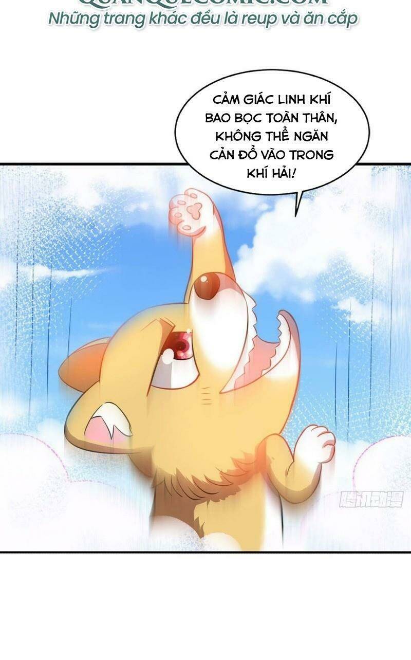 Trọng Sinh Thành Cậu Vàng Tại Dị Thế: Chapter 88