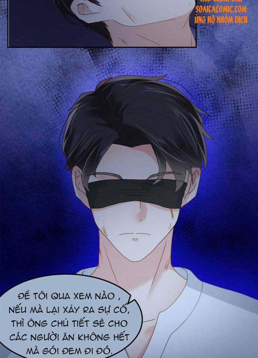 Trọng Sinh Trở Lại: Sủng Nịch Độc Nhất Vô Nhị: Chapter 208