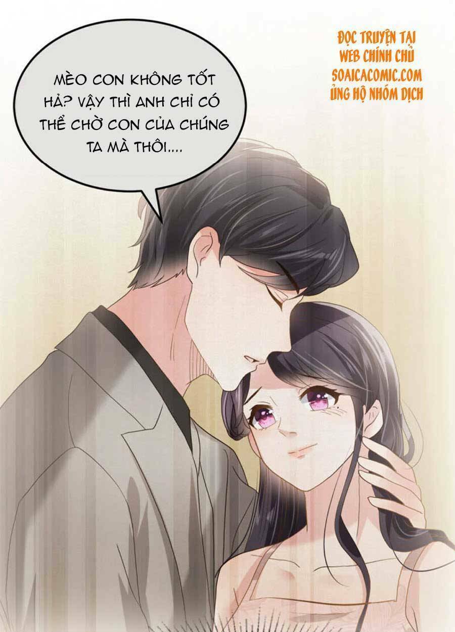 Trọng Sinh Trở Lại: Sủng Nịch Độc Nhất Vô Nhị: Chapter 210
