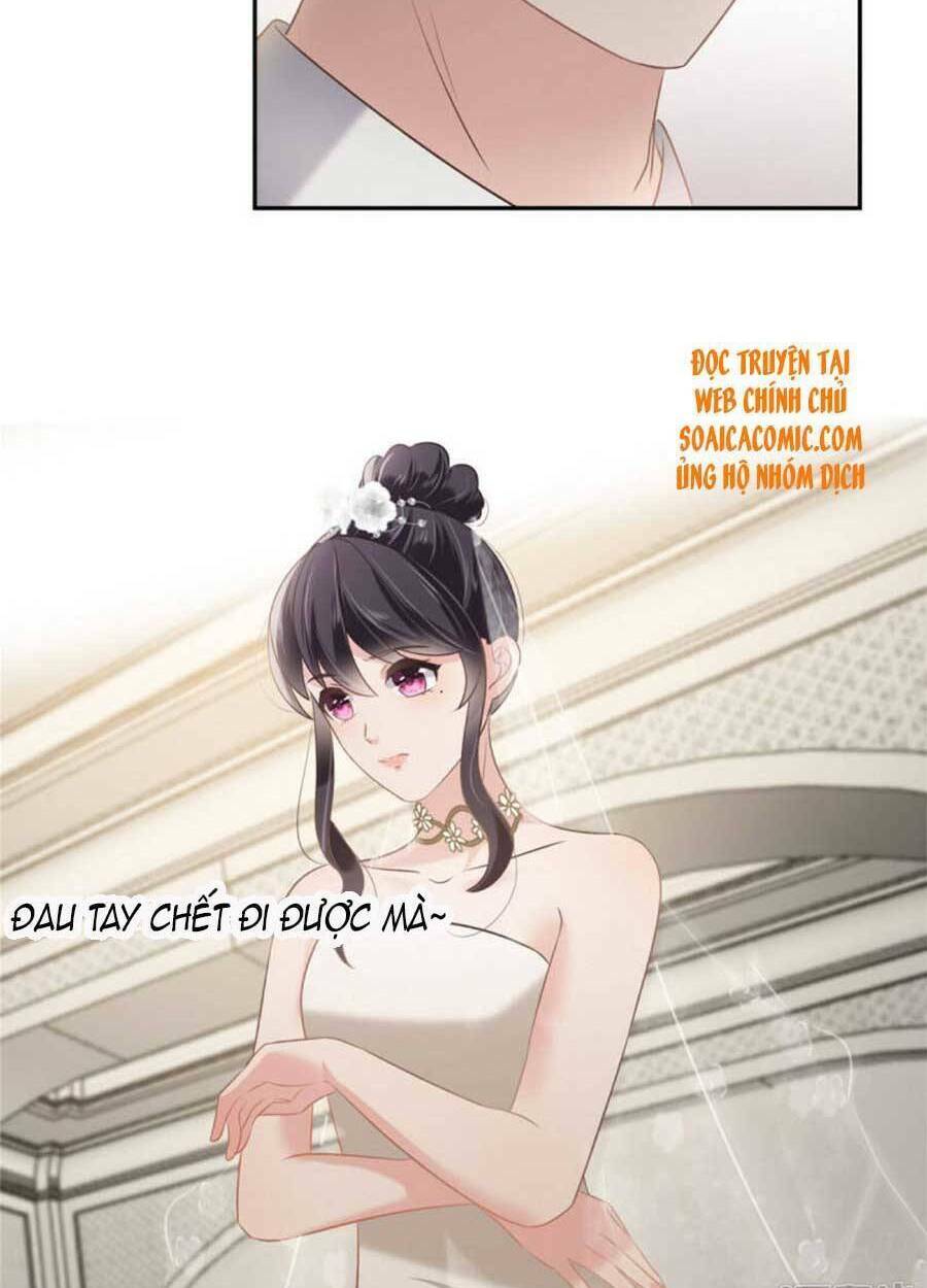 Trọng Sinh Trở Lại: Sủng Nịch Độc Nhất Vô Nhị: Chapter 214