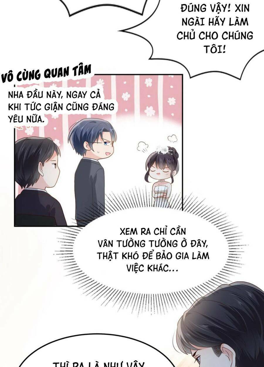Trọng Sinh Trở Lại: Sủng Nịch Độc Nhất Vô Nhị: Chapter 217