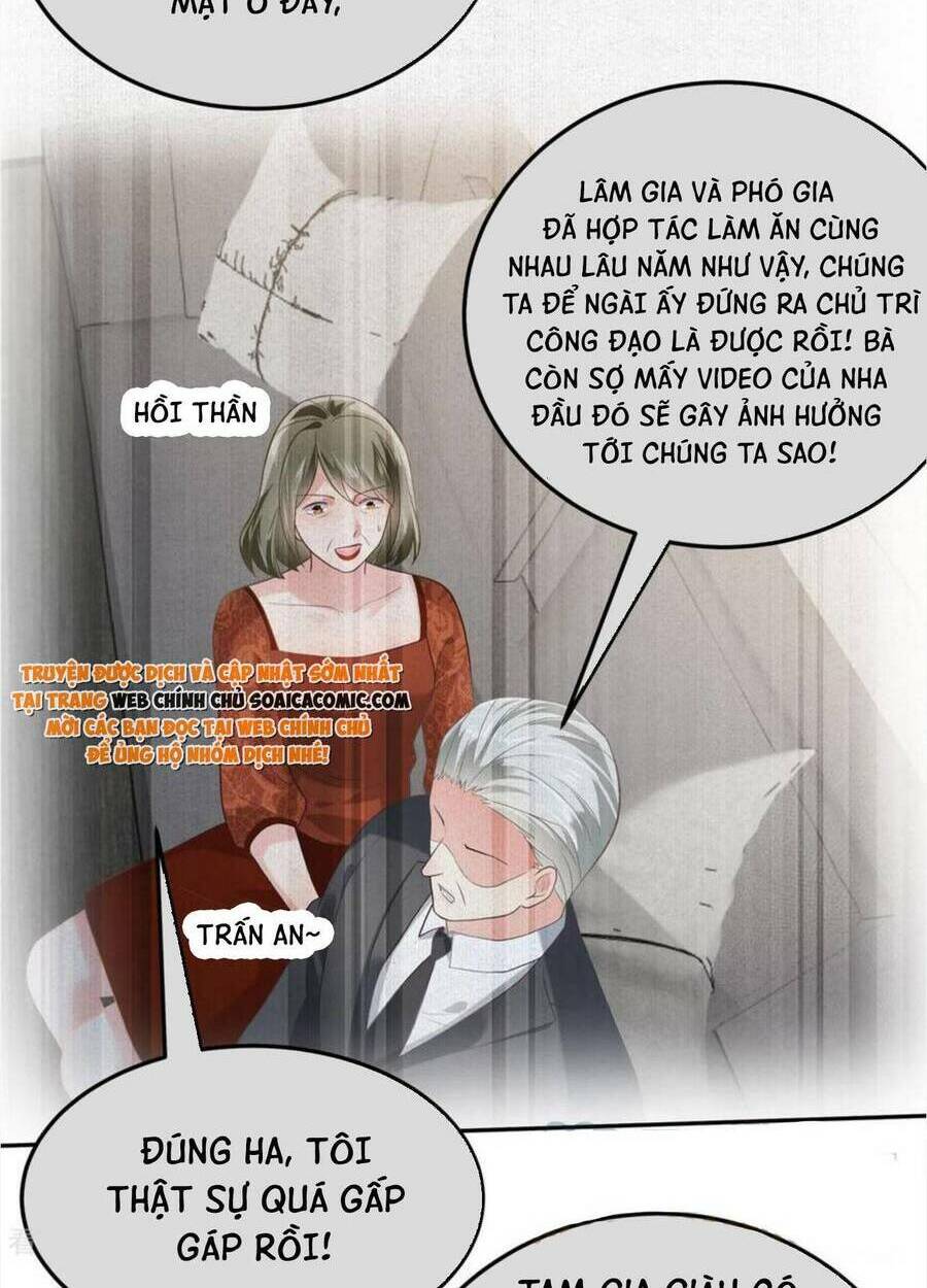 Trọng Sinh Trở Lại: Sủng Nịch Độc Nhất Vô Nhị: Chapter 217
