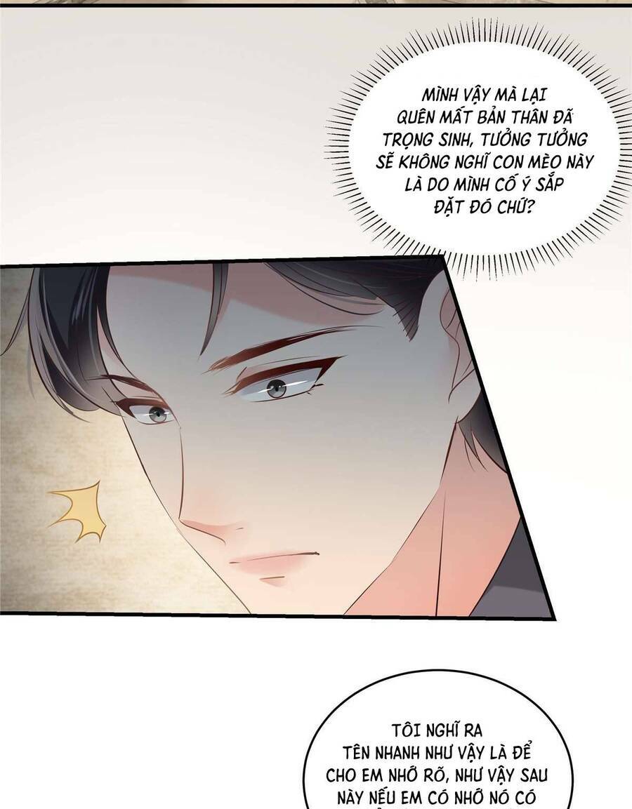 Trọng Sinh Trở Lại: Sủng Nịch Độc Nhất Vô Nhị: Chapter 227