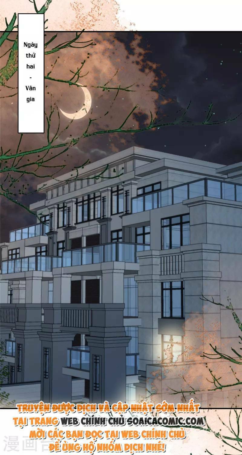 Trọng Sinh Trở Lại: Sủng Nịch Độc Nhất Vô Nhị: Chapter 239