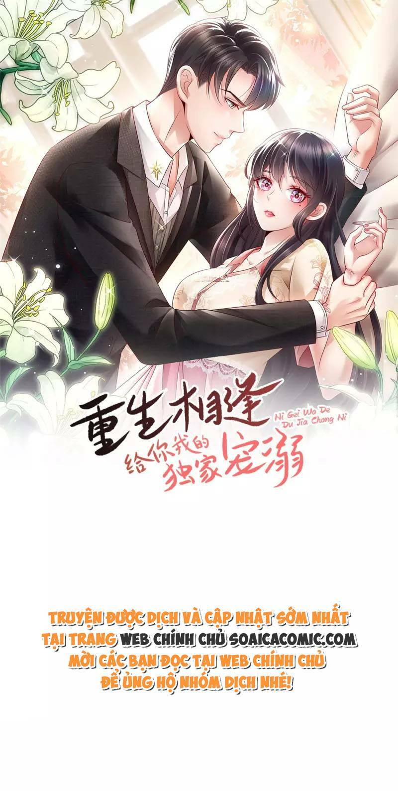 Trọng Sinh Trở Lại: Sủng Nịch Độc Nhất Vô Nhị: Chapter 242