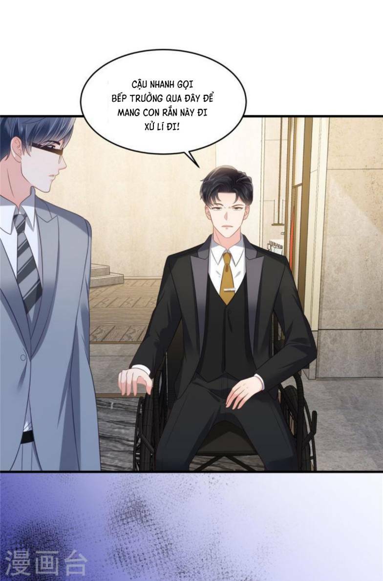 Trọng Sinh Trở Lại: Sủng Nịch Độc Nhất Vô Nhị: Chapter 265