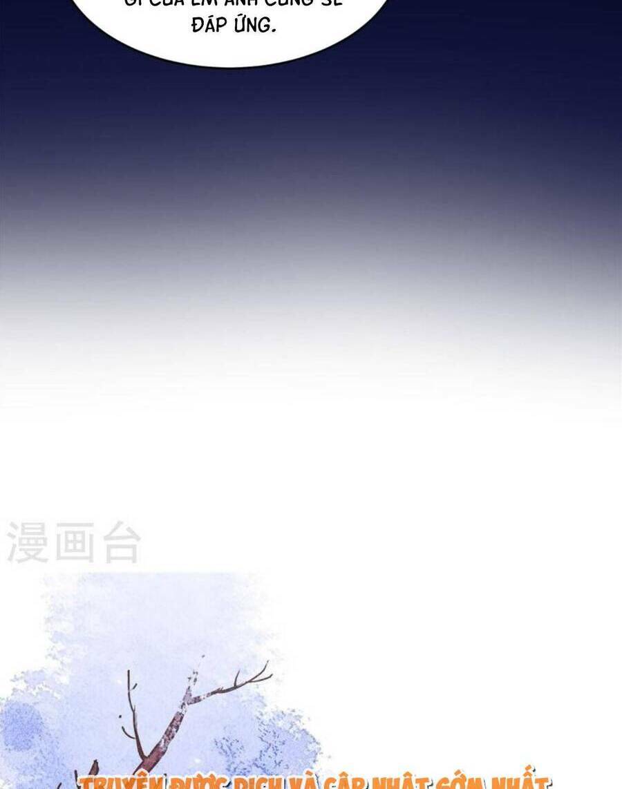 Trọng Sinh Trở Lại: Sủng Nịch Độc Nhất Vô Nhị: Chapter 292