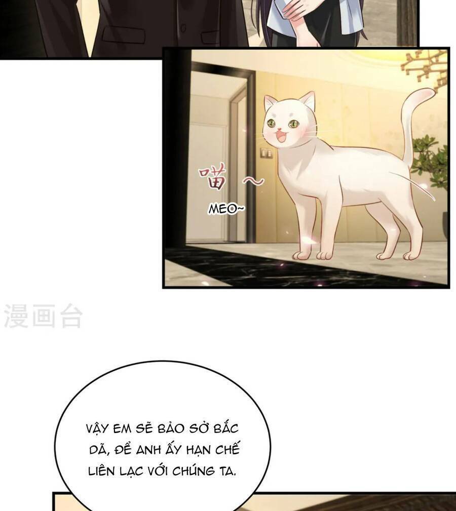 Trọng Sinh Trở Lại: Sủng Nịch Độc Nhất Vô Nhị: Chapter 312
